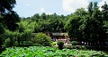 長沙出發(fā)到花明樓、韶山、張家界國家森林公園、天門仙山國家森林公園四日游